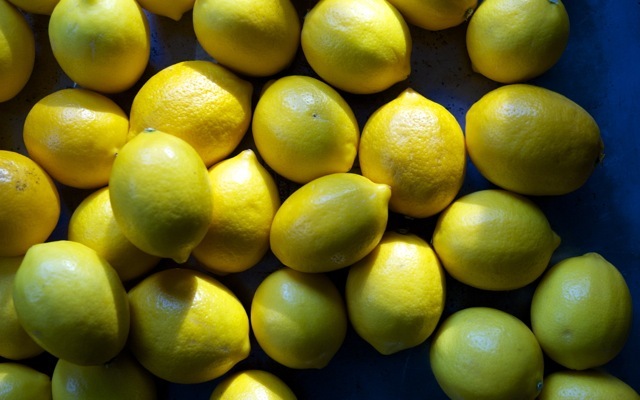 Meyer lemons 790 xxx